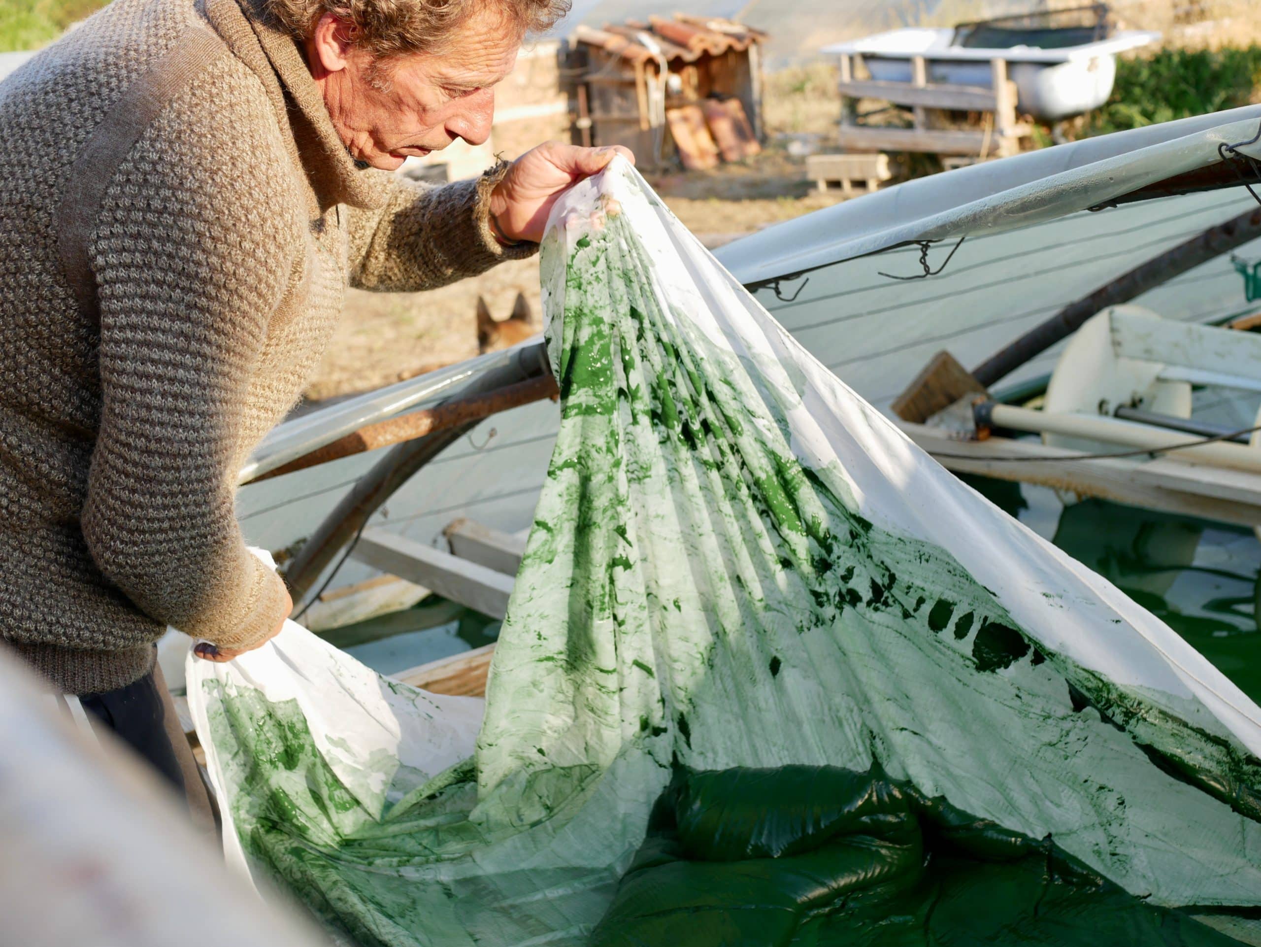 Spiruline du garlaban - formation du paton