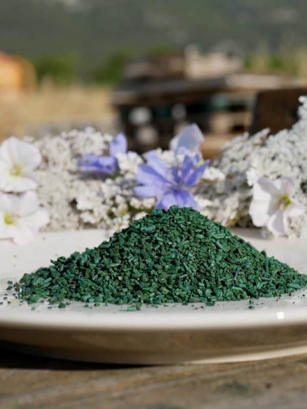 Spiruline du garlaban - paillettes classique