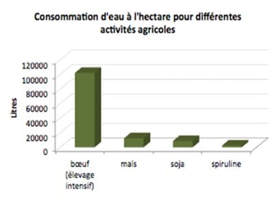 Spiruline du garlaban - Consommation d'eau à l'hectare pour différentes activités agricoles