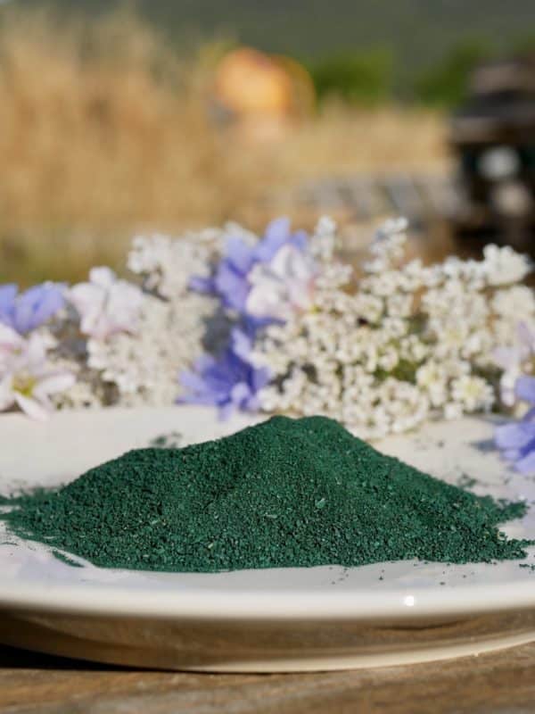 Spiruline du garlaban - poudre